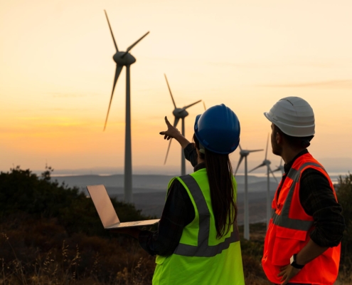 Two professionals in protective gear looking at wind turbines